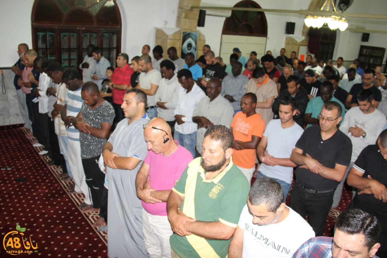 trawe7 salahsaj (34).jpg